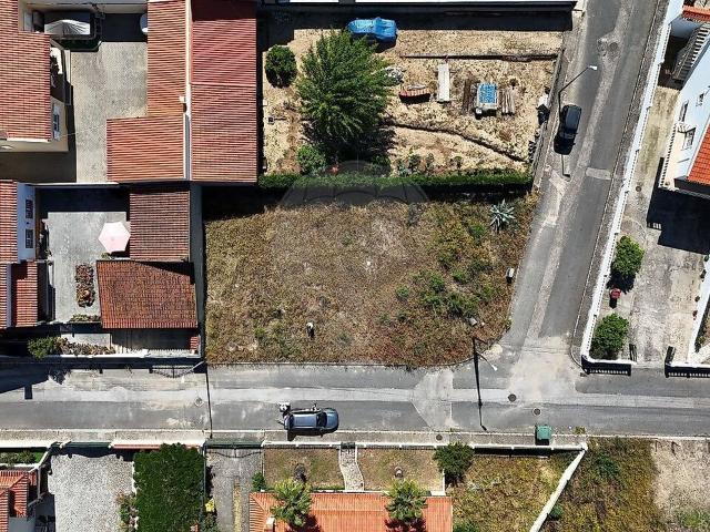 Terreno venda em Arripiado, Chamusca
