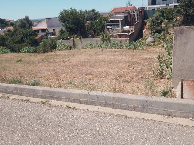 Terreno venda em Chamusca e Pinheiro Grande, Chamusca
