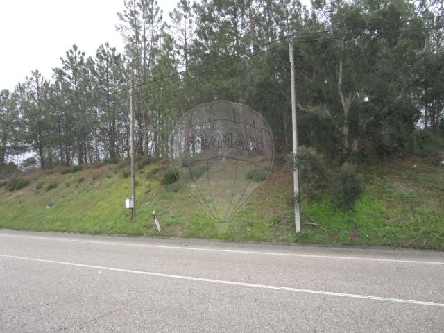 Terreno venda em Chamusca e Pinheiro Grande, Chamusca