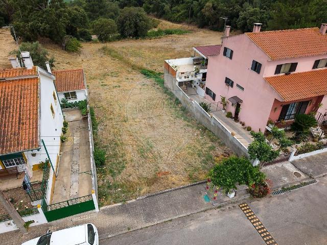 Terreno venda em Chamusca e Pinheiro Grande, Chamusca