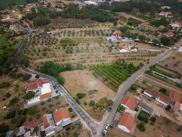 Terreno venda em Chamusca e Pinheiro Grande, Chamusca