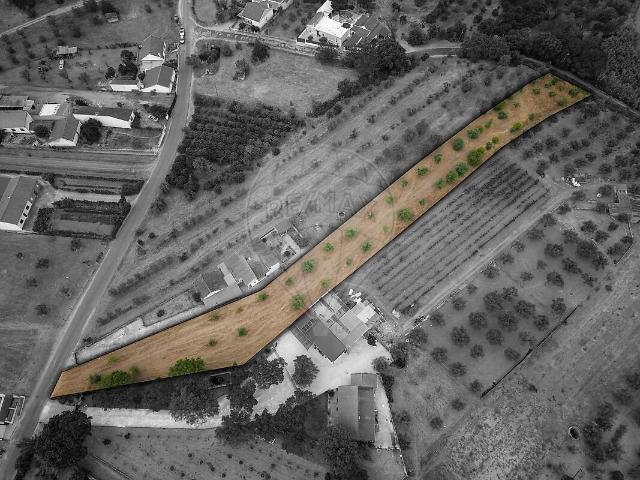 Terreno venda em Chamusca e Pinheiro Grande, Chamusca