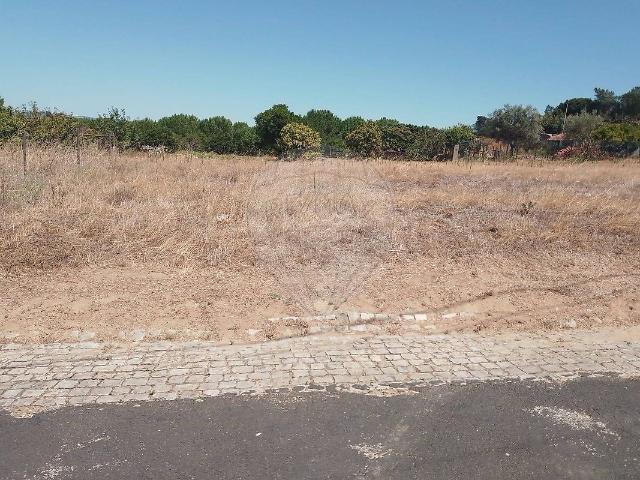 Terreno venda em Chamusca e Pinheiro Grande, Chamusca