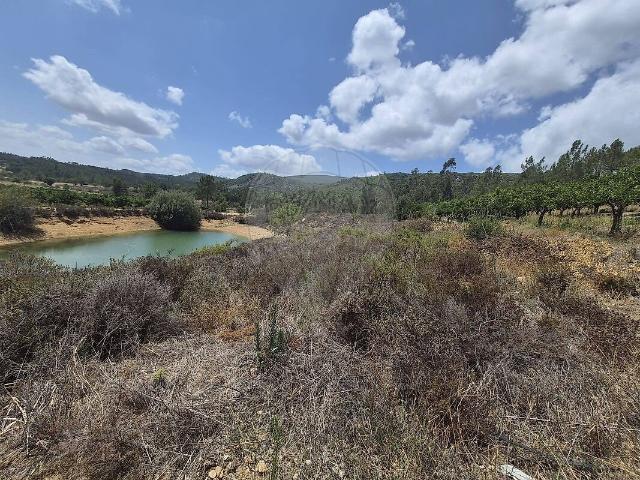 Terreno venda em Chancelaria, Torres Novas