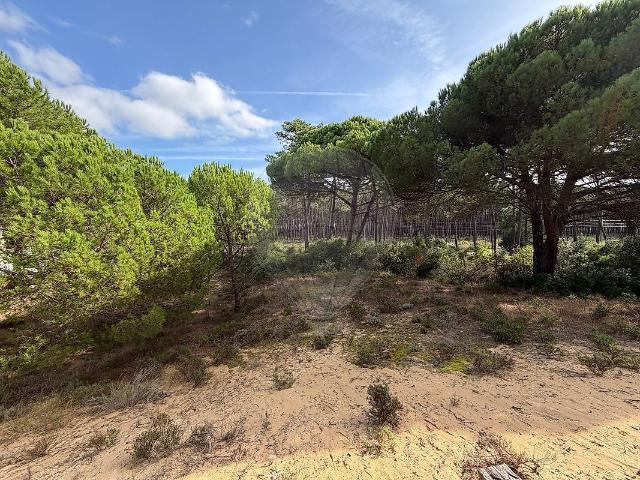 Terreno venda em Vale Bem, Almada