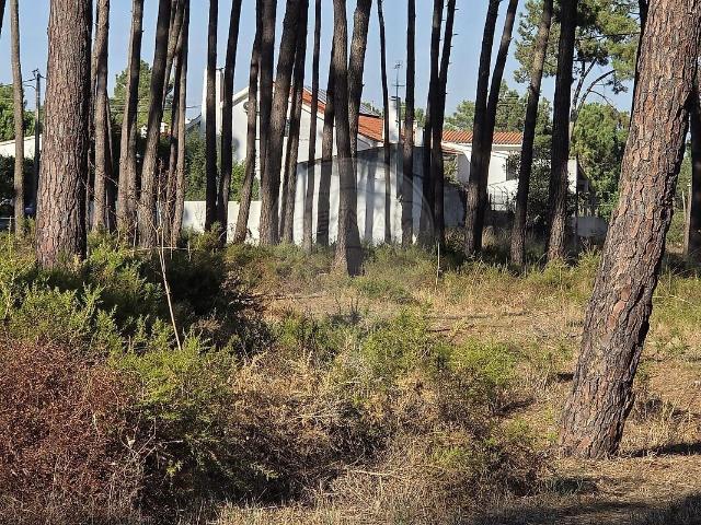 Terreno venda em Vale Bem, Almada