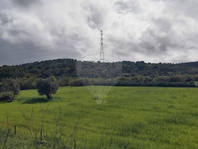 Terreno venda em Monte das Pitas, São Marcos Da Serra