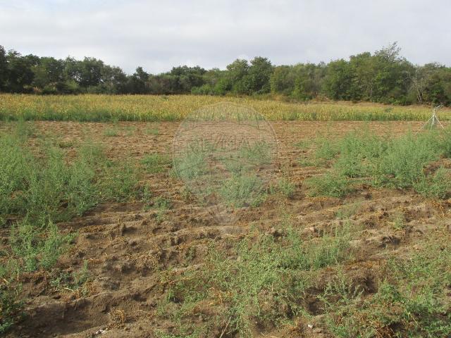 Terreno venda em Chaves, Vila Real