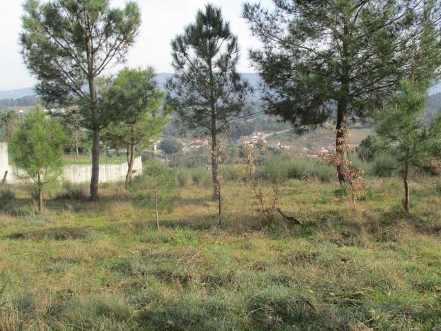Terreno venda em Chaves, Vila Real