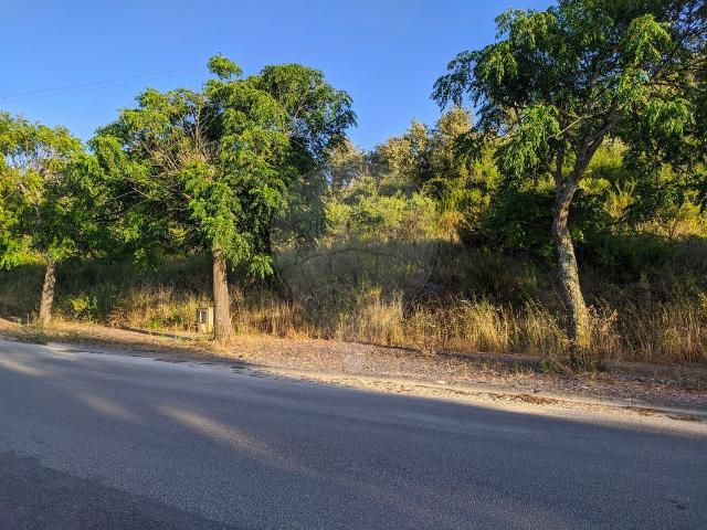Terreno venda em Bacelos, Tomar