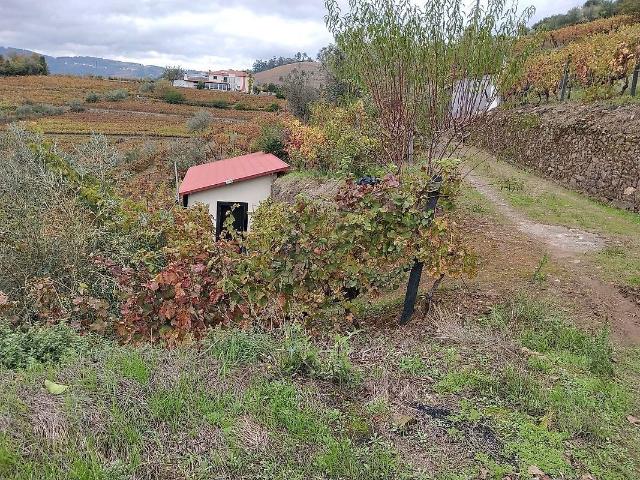 Terreno venda em Eira Pedrinha de Cima, Mesão Frio