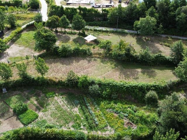 Terreno venda em Cinfães, Viseu