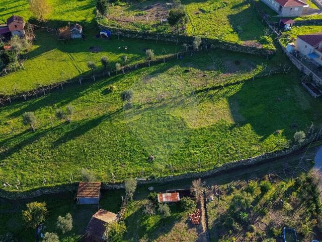 Terreno venda em Meijoadas, Espadanedo