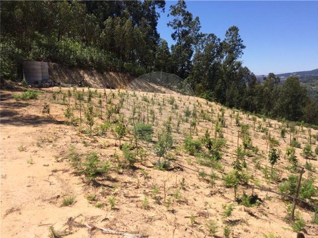 Terreno venda em Cinfães, Viseu