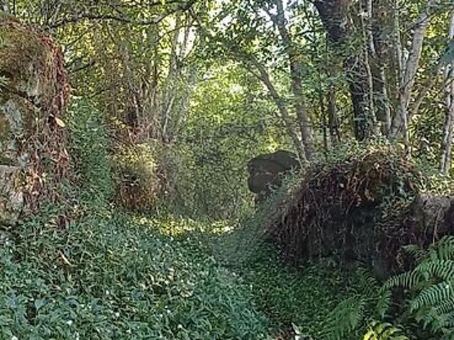 Terreno venda em Souto do Rio, Cinfães