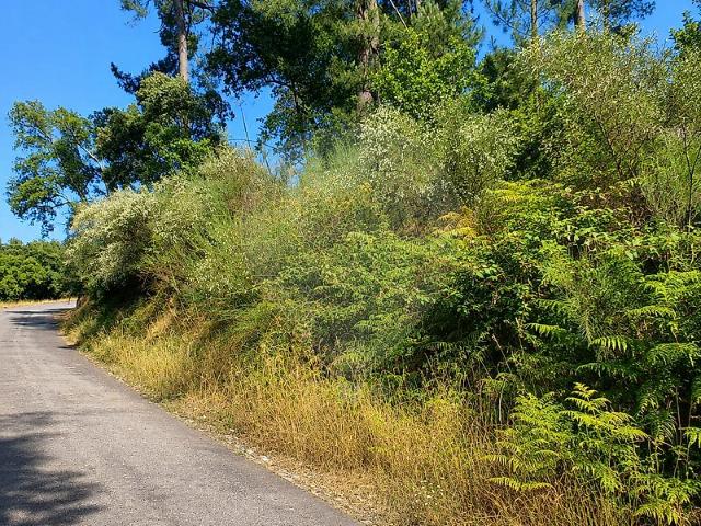 Terreno venda em Souto do Rio, Cinfães