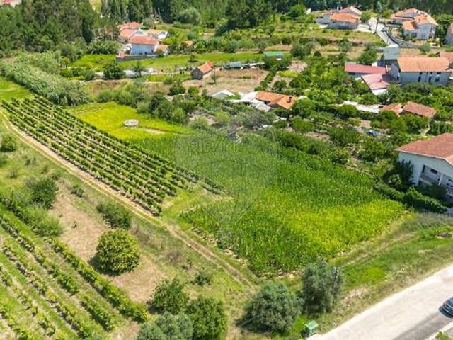 Terreno venda em Coimbrã, Botão