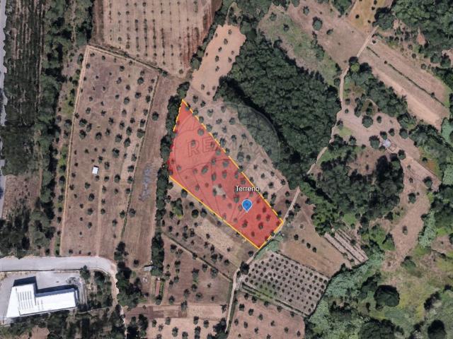 Terreno venda em Coimbrã, Vil De Matos