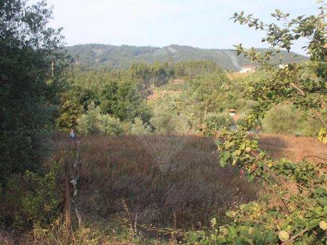 Terreno venda em Coimbrã, Almalaguês