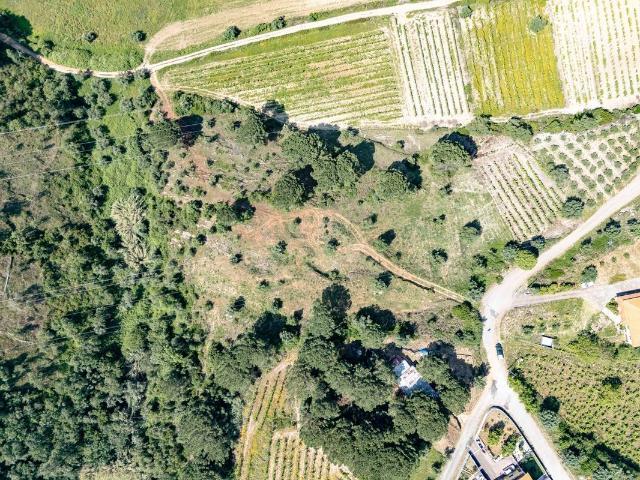 Terreno venda em Coimbrã, Botão