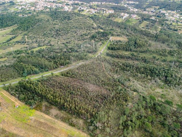 Terreno venda em Coimbrã, Coimbra