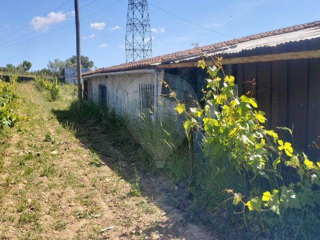 Terreno venda em Coimbrã, Botão