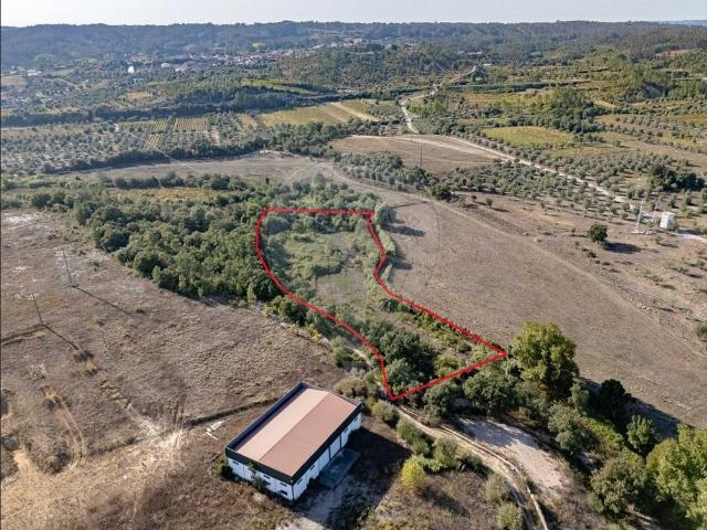 Terreno venda em Coimbrã, Botão