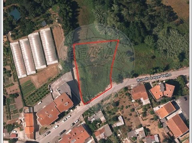 Terreno venda em Coimbrã, Sé Nova