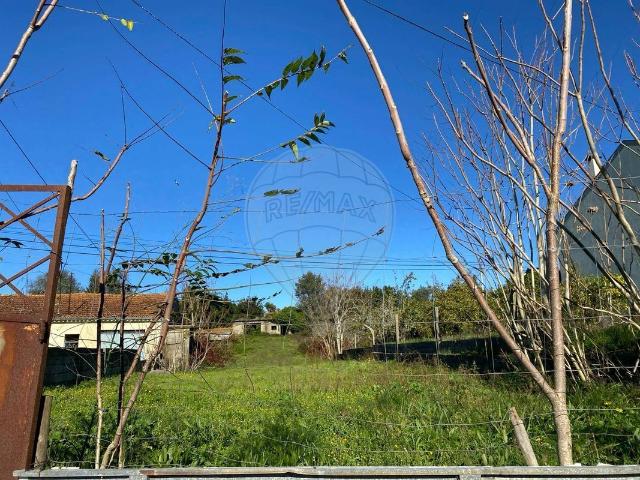 Terreno venda em Coimbrã, Coimbra