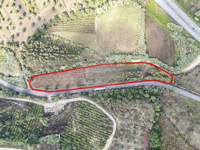 Terreno venda em Coimbrã, Botão
