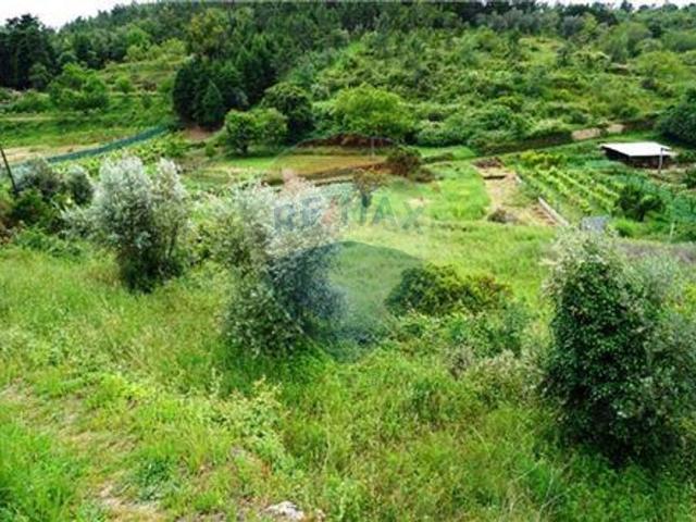 Terreno venda em Coimbrã, Coimbra