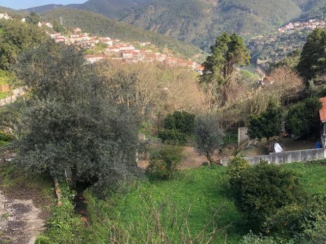 Terreno venda em Coimbrã, Torres Do Mondego
