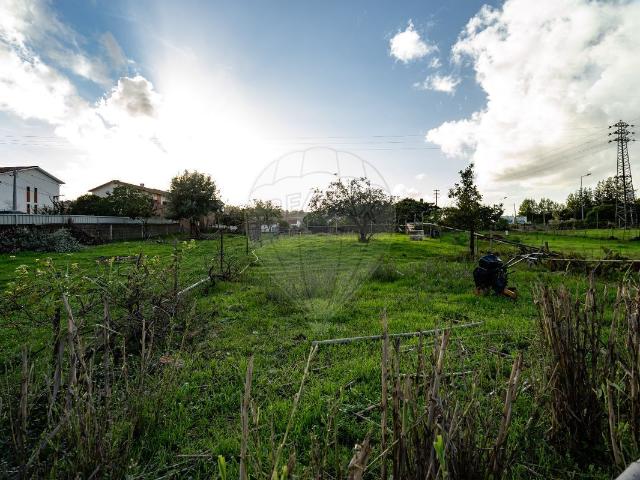 Terreno venda em Coimbrã, Ribeira De Frades