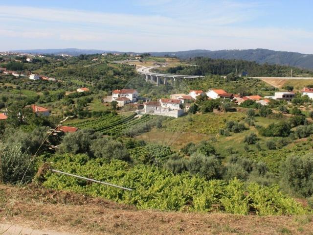 Terreno venda em Coimbrã, Almalaguês