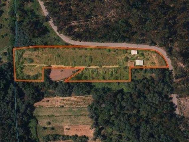Terreno venda em Coimbrã, Ribeira De Frades