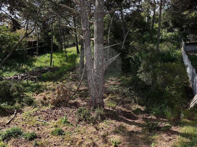 Terreno venda em Azoia, Colares