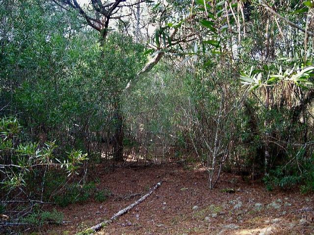 Terreno venda em Praia Grande, Colares