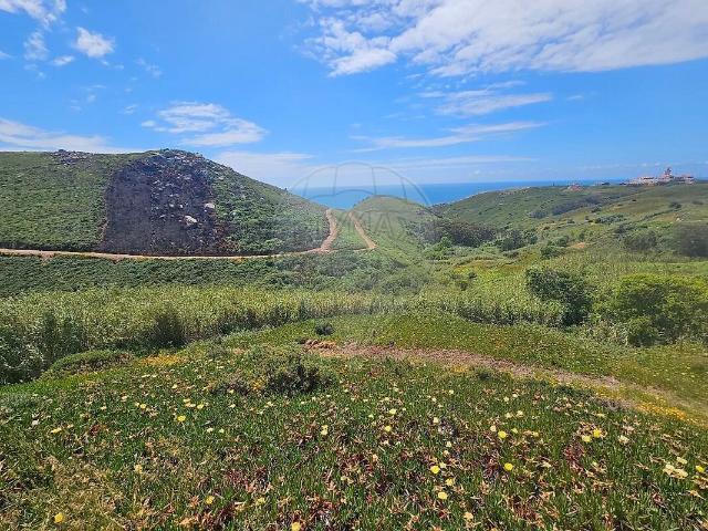 Terreno venda em Azoia, Colares