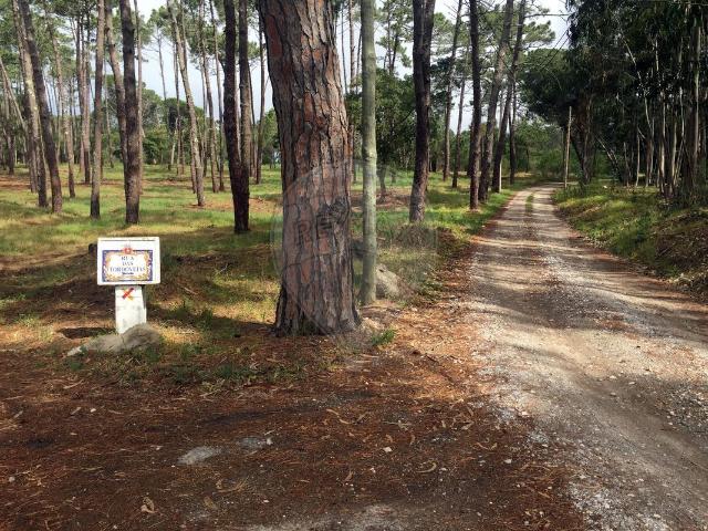 Terreno venda em Alto Banzão, Colares