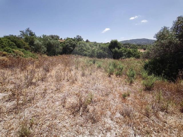 Terreno venda em Conceição, Faro