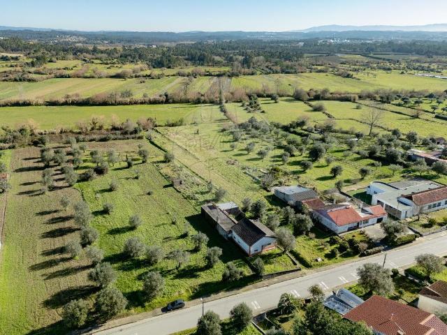 Terreno venda em Condeixa-a-nova, Coimbra
