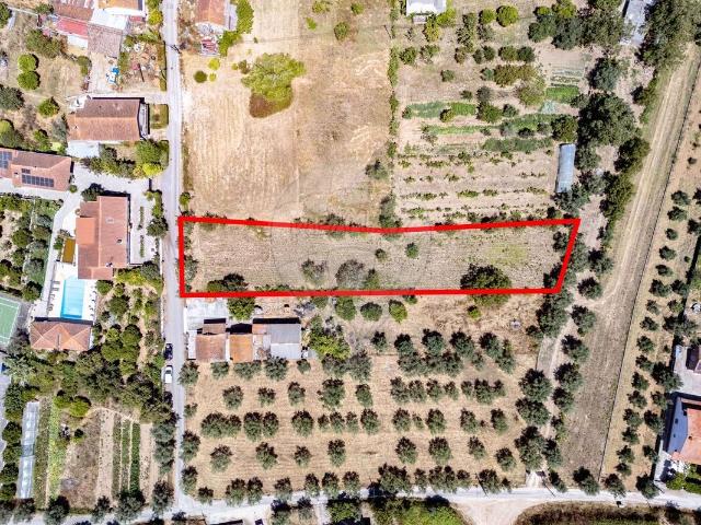 Terreno venda em Condeixa-a-nova, Coimbra