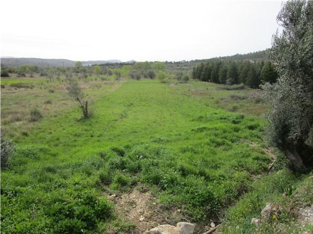 Terreno venda em Condeixa-a-nova, Coimbra