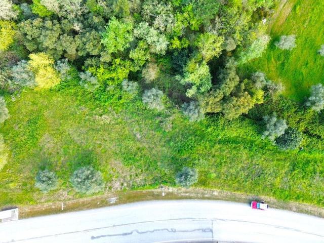 Terreno venda em Condeixa-a-nova, Coimbra