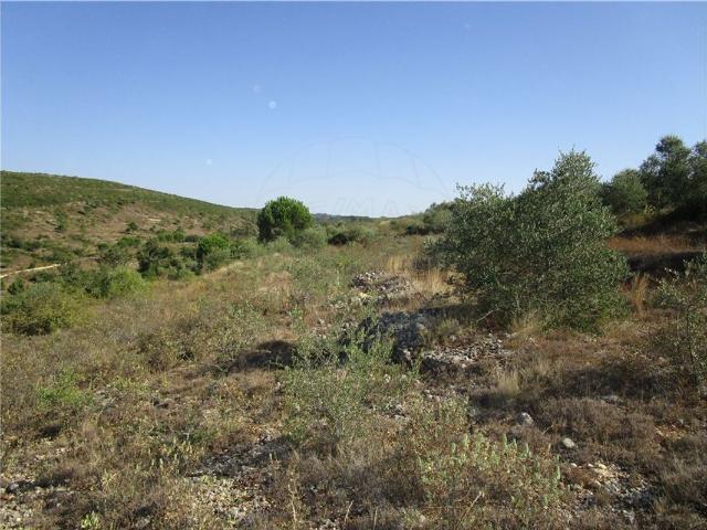 Terreno venda em Condeixa-a-nova, Coimbra