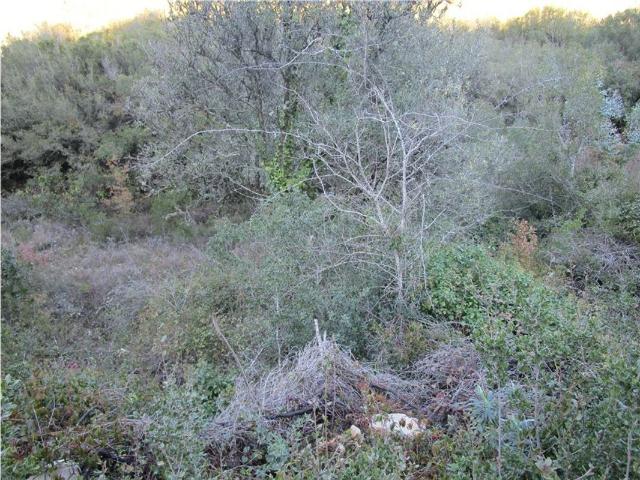 Terreno venda em Condeixa-a-nova, Coimbra