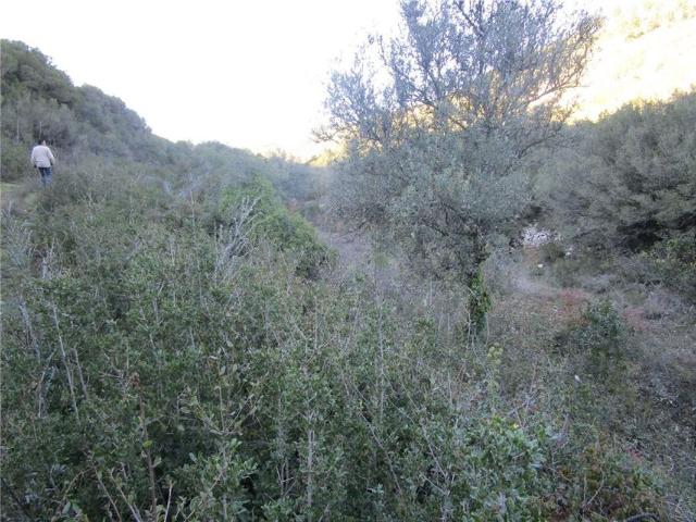 Terreno venda em Condeixa-a-nova, Coimbra