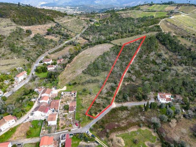 Terreno venda em Condeixa-a-nova, Coimbra