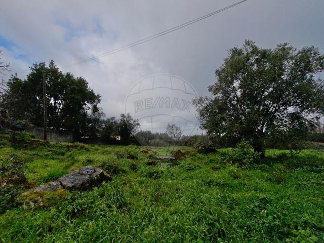 Terreno venda em Condeixa-a-Velha e Condeixa-a-Nova, Condeixa-a-Nova