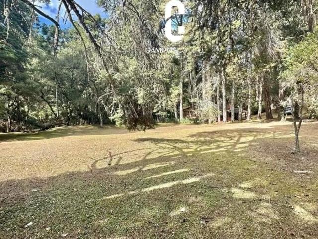 Terreno venda em Região Imediata de Taubaté-Pindamonhangaba, Região Metropolitana do Vale do Paraíba e Litoral Norte